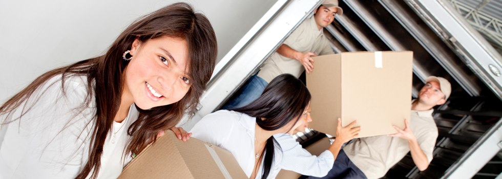 Professional Removalists Coonamia